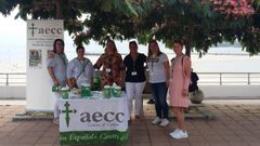 Foto de archivo de una de las cuestaciones celebradas por la delegaci�n local de la AECC