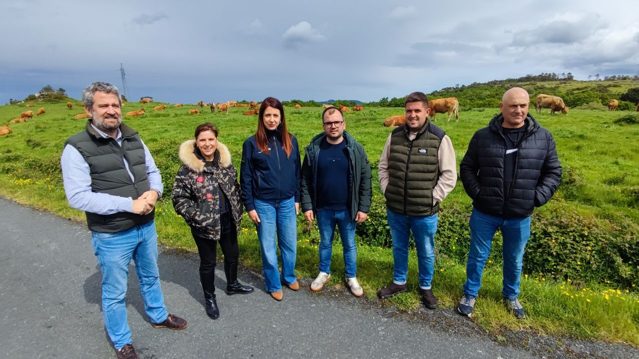 Medio Rural desarrollará un nuevo pastizal en los montes de Buio