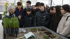 As� fue la jornada en los viveros con Voz Natura