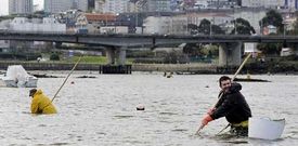 Este colectivo es que tiene mayor representatividad en la junta general y decidir� qui�n ser� el nuevo patr�n mayor. 