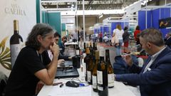 Uno de los expositores de Vinis Terrae
