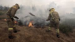 Brigadistas trabajando en la extinci�n de un incendio forestal en una foto de archivo
