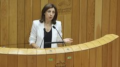 La conselleira de Medio Ambiente, Ángeles Vázquez, en una comparecencia reciente en el Parlamento