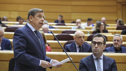 Luis Planas en el Senado