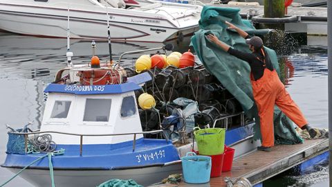 Un marieiro, este venres, no porto de Sanxenxo