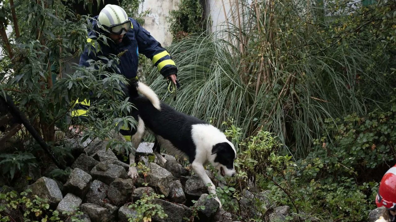 Emotivo adiós a Arnold, uno de los perros de rescate «héroes» de Casaga