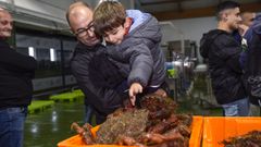 La centolla gallega vuelve al mercado