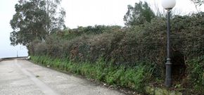 La alambrada desaparece entre la maleza y est� agujereada en varios puntos. 