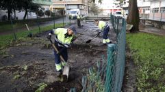 Limpieza del tramo cubierto del r�o Gafos en Pontevedra