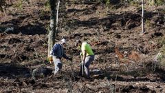 Trabajos de acondicionamiento de parque forestal de A Tomba, en Campa��