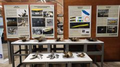 Diferentes modelos de h�lices, en el Museo de la Construcci�n Naval de Ferrol.
