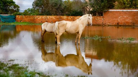 Inundaciones por las intensas lluvias en Castelldefels