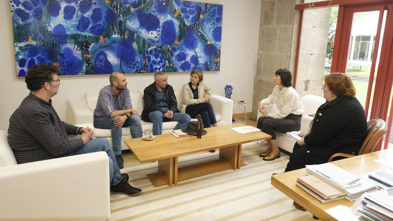 Pontón pide a Rueda «menos propaganda e mentiras» en sanidad y dotar la atención primaria de psicología clínica
