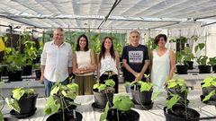Juan Jos Ferreira, Ana Campa, Mara Jurado, Roberto Rodrguez y Carmen Garca, investigadores del grupo de Gentica Vegetal del Serida