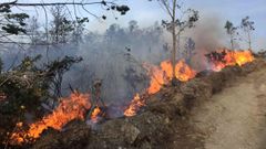 Foto de archivo de un incendio forestal