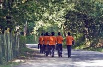 Numerosos sancionados permutan las multas por trabajos comunitarios, como la limpieza del Camino.