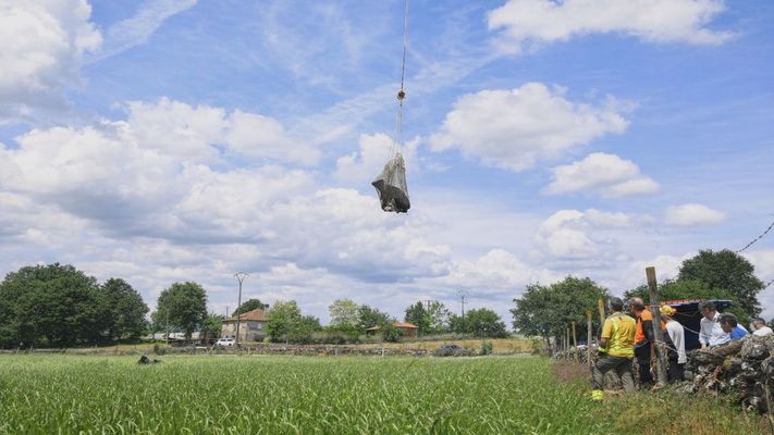 Miembros del equipo de rescate supervisan el aterrizaje de una de las vacas de Taboada