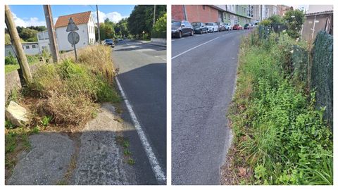 Zona de maleza junto a viviendas en Narn