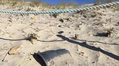 Major: dunas invadidas por el pl�stico