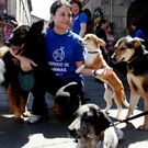 Entre las iniciativas del Refuxio hay salidas para divulgar su trabajo.
