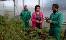 Mar�a Jos� Bat�n visit� la parcela experimental que gestiona Coas mans na terra en el pol�gono de Lal�n.