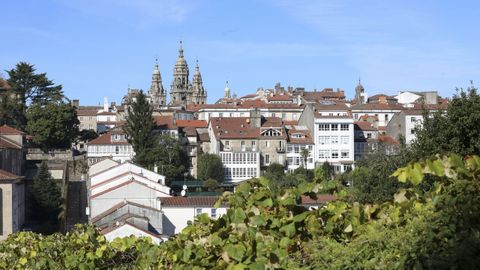 Zona de Belv�s con vistas a la Catedral.