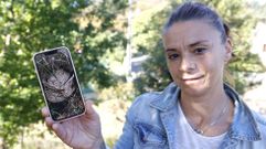 Ana Sestelo enseña una foto del nido de las velutinas que le atacaron cuando desbrozaba en Forzáns, Ponte Caldelas
