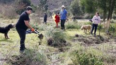 El colegio de las Franciscanas limpia y planta m�s �rboles en Pinar do Rei