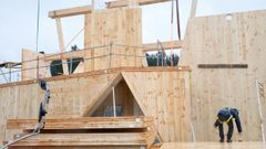 Las ayudas pretenden fomentar la construcci�n en madera