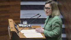 La consejera de Educacin, Lydia Espina, durante su intervencin en el pleno de este martes en la Junta General del Principado