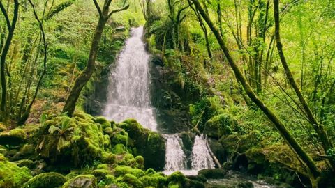 Fervenza de Golsofre