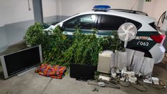 Material incautado por la Guardia Civil, incluidas plantas de marihuana, a unos ladrones en Allariz.