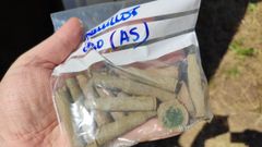 Los casquillos que aparecieron en la finca de El Rell�n, en Grau, que apuntan a la existencia de una l�nea de fusilamiento