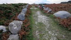 Camino gallego