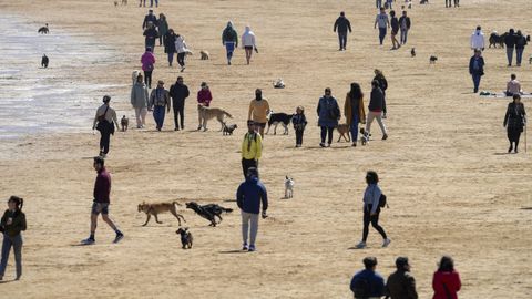 Gente disfruta de la mañana con buen tiempo en la playa de San Lorenzo de Gijón