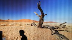 Aspecto de la exposici�n �Experimento a�o 2100� de c�mo ser� la Tierra en ese a�o. 