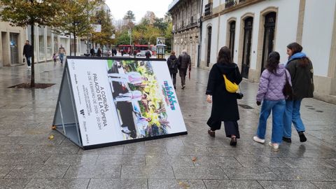 Tambi�n causaron da�os en otros paneles ubicados en la c�ntrica plaza