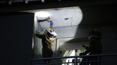 As� se retira un nido en plena noche