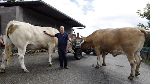 �Pepe do Chacino� con sus bueyes M�s y Brillante