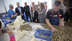 El conselleiro Alfonso Villares visita la cooperativa R�a de Arosa, en Abanqueiro