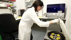 Una investigadora de medicina gen&oacute;mica en Santiago, en foto de archivo