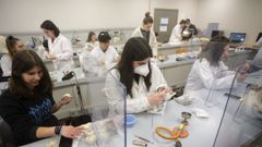 Cada curso, el ciclo de Prot�sico Dental, ofertado en el CIFP Polit�cnico, agota sus plazas.