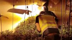 El laboratorio de resina de cannabis en Grado
