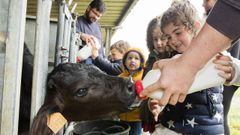 Ni�os de Castromil aprendieron labores agropecuarias. �Mira las im�genes!