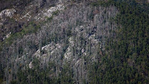 As est el monte de Barbanza un ao despus del gran incendio