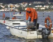 El sector de a flote trabaj� ayer de nueve a doce. 