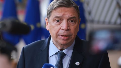 Luis Planas a su llegada al Consejo de Ministros de la Uni�n Europea