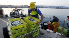 A los xeiteiros de las Ras Baixas (foto de archivo) les sobra el 60 % de su cupo anual de sardina, calcula Pesca, que tambin le retira el 26 % al cerco del golfo de Cdiz 