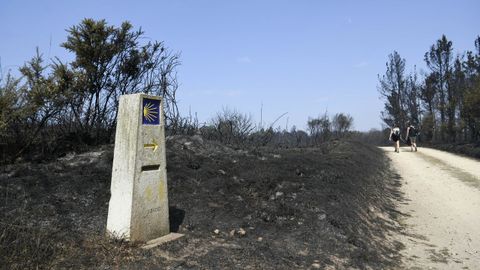 Uno de los mojones que indican el Camiño de Santiago en la zona afectada por los incendios en Dozón.