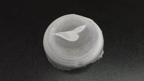 El pl�stico biodegradable resultante cuenta con propiedades similares a las de los pl�sticos tradicionales.